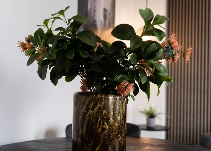 Junik Im Stadtzentrum * 杜伊斯堡